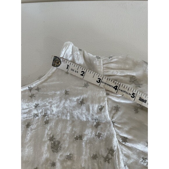 Samantha Pleet & Free People Dress Sz 8 Ophelia Velvet Moon Embroidered - Picture 8 of 11